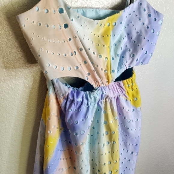 ML Monique Lhuillier Poplin Eyelet Cutout Midi Dress Sz 2 - Picture 6 of 12